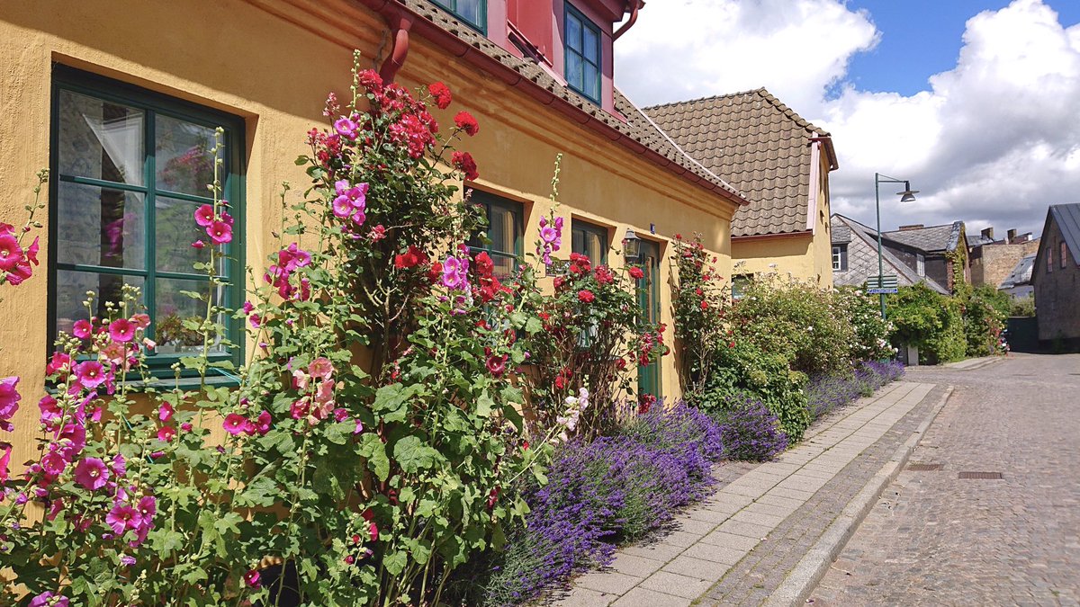 Street houses in Lund,Sweden
#lund #photofrommyheart