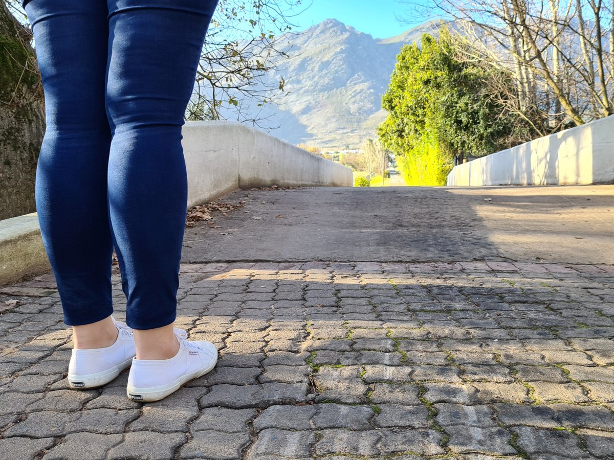 RicketyBridgeW's tweet photo. Views from our #5kmRoute! 🌱

Come and enjoy our walking/running trail any day of the week. There is a map of the route in the #WineTastingCentre or send an email to marketing@ricketybridge.com and we'll share the map with you. ⁠⁠
⁠

#UnlockWithRickety #RicketyBridging #Nature https://t.co/pSjOT8wEK7