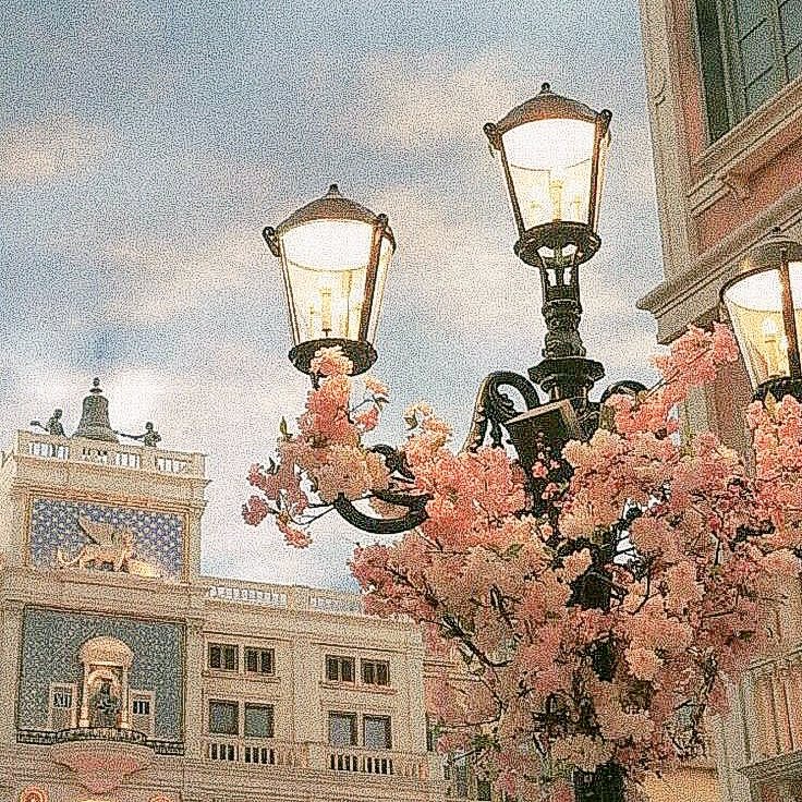 ϟ⌁ 🎨 ⍀ °
      
เค้าเฟยเฟิ่ง⍆яosé 🏅₉₇คิดส์🥁
  แลกฟอล   ⇨  ตามทัก

°ยพท ลฟตท.❁⍋