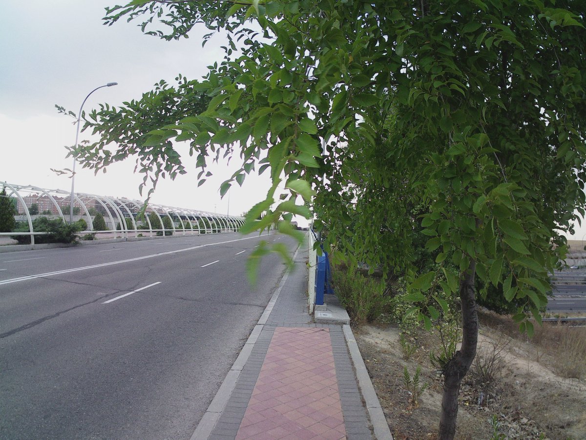 Oli Run log tweet media