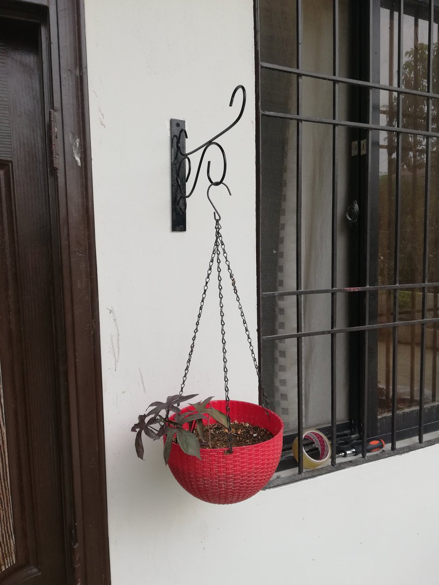 Done fixing the baskets. Wasn't getting the time to drill holes and fix the hangers. Finally got to do it. One has spider plant and one has sweet potato red vine.