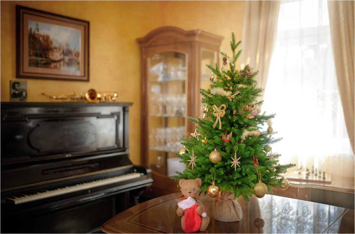 TzarElka's tweet image. Маленькая елочка впишется в любой интерьер!!! #царьелка #купитьелку #елкавдом