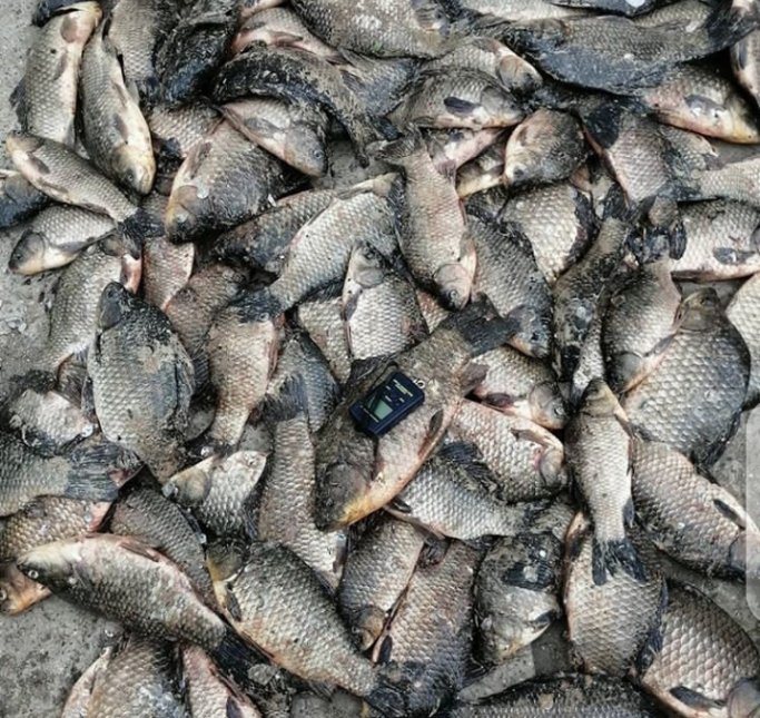 If You Love #Fishing🦈🐬🐋
Then Follow Us To see 
Beautiful 🐟Photos &amp; Videos🐠
⬇Checkout Our 👗Merch👕 Below⬇burgerprints.com/stores/fishing… #fishing are #kayakfishing #fishinglifestyle #trout #riverfishing #fishingrod #fishingtrip #anglers #lures #fishingfun #fishing🎣 .