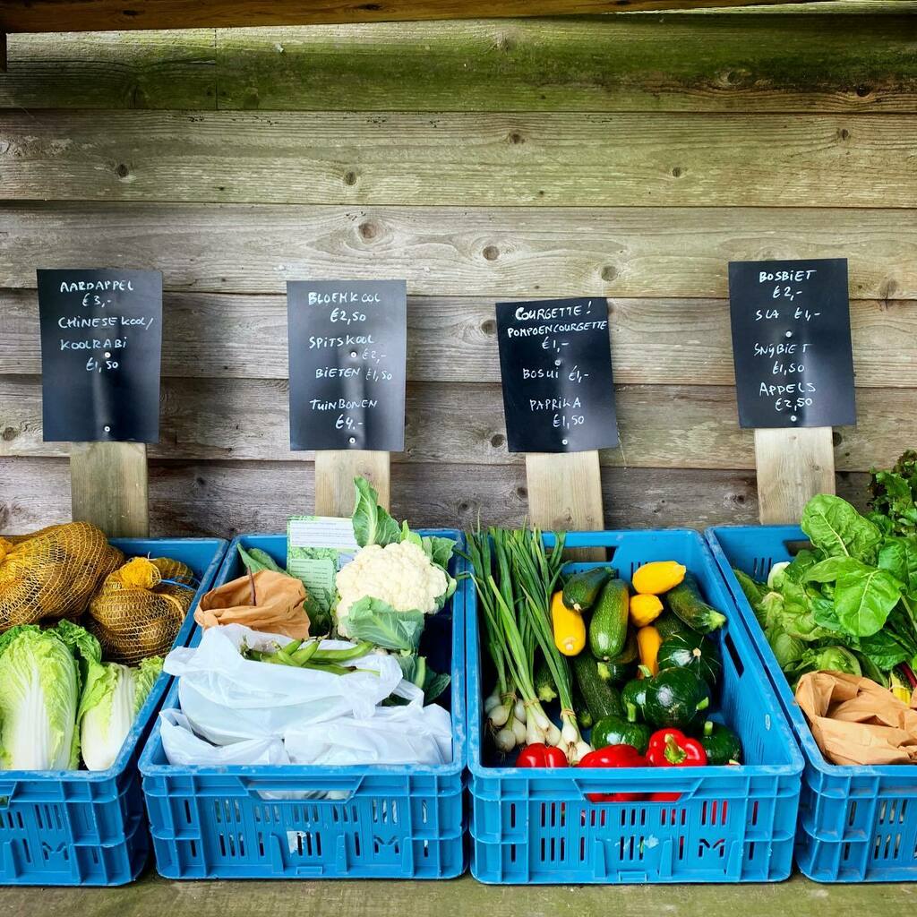 tuinsalland's tweet photo. De groentekraam is weer goed gevuld: aardappelen, koolrabi*, Chinese kool*, bloemkool*, spitskool, bieten*, tuinbonen*, courgette*, bosui*, paprika, bosbiet*, sla*, snijbiet*, appels
.
* = eigen teelt! De groentekraam is nu dagelijks geopend van 9:00 tot… https://t.co/h5094HyPgh https://t.co/o26cr0Tgok