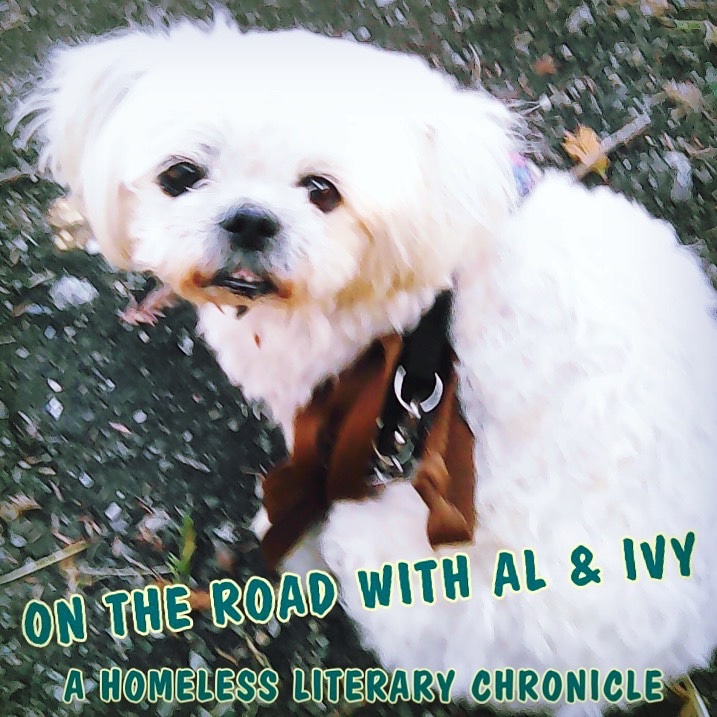 alhanda's tweet photo. On The Road With Al and Ivy: A Homeless Literary Chronicle: June 9th, 2020. Featuring OK Boomer, Orwell on power, preppers, living off the grid, street life, Sherlock Holmes, and more illustrations! https://t.co/pw6FCkn1Gn https://t.co/QFjTTxoFGb