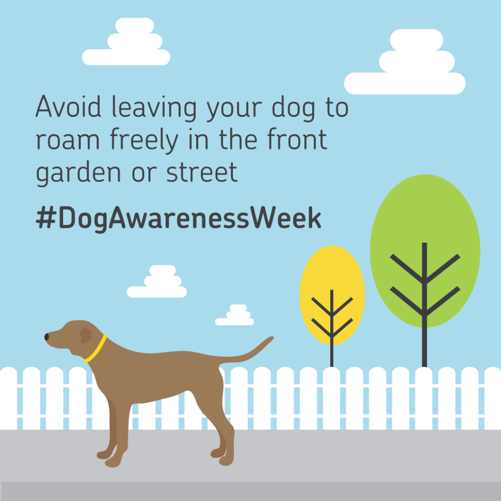 RoyalMail's tweet photo. Did you know that 41% of all dog attacks happen in the garden? We are appealing to dog owners to help us keep our postal workers safe while they are delivering to your home. 

Visit https://t.co/ufwtwLgPCO for advice and tips on dog safety. 

#DogAwarenessWeek https://t.co/epWAM3jxOA