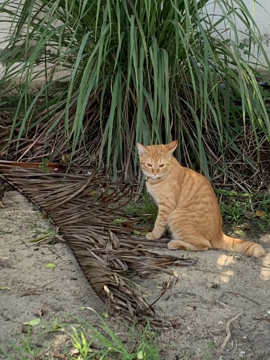 คิดถึงจะตายอยู่ละ ตามไปกับสาวใช่มั้ย