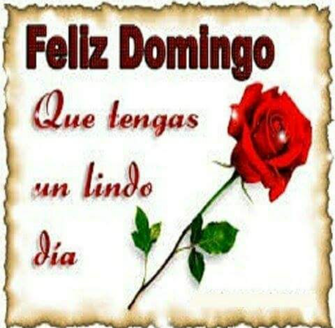 Marietta117's tweet photo. #FelizDomingo #lospequeñosdetallesdiarios #lindodia #siemprecontigo #rosas #cuentatusbendiciones #Hoy🙃 https://t.co/McNmKxwre1