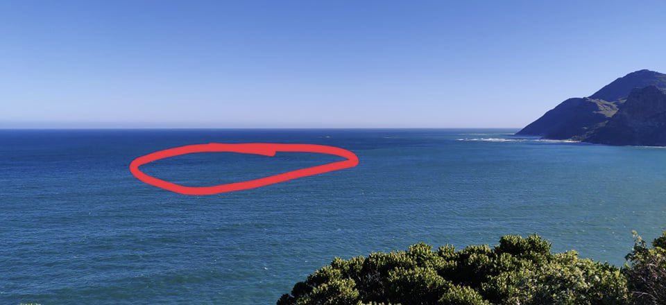 SeafariApp's tweet image. Humpback #whales being reported from both sides of the #CapePeninsula, off Fish Hoek and #Chappies. Pics by Ray Chaplin and Charles Booysen @seasearchafrica @WhaleHeritage @