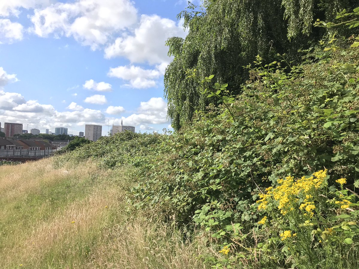 Chris4Patches's tweet photo. Perry Barr constituency looked stunning yesterday, wherever nature was thriving.
Thatโs got to be good for our health & wellbeing! ๐๐
#GeorgesPark #HandsworthPark #PerryHallPark #PerryPark #TameValleyCanal #WittonCemetery #WittonLaneGardens https://t.co/lGHlN5BIr1