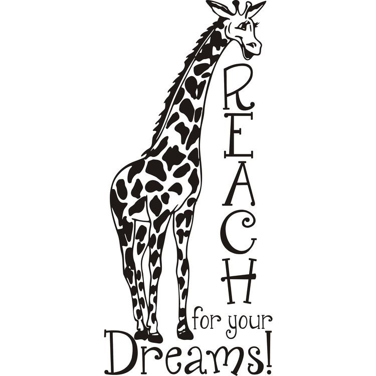 REACH For Your DREAMS #inspiringquote #TrustTheProcess #SundayMotivation #quotestoliveby #FamilyTrain #StarfishClub #ThinkBIGSundayWithMarsha
