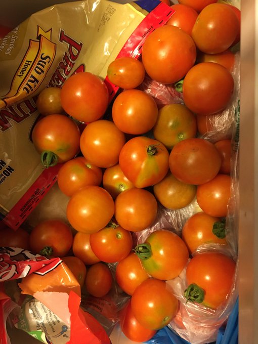 They all coming in at once haha we ate a lot and made tomatoes sandwiches for everyone and this what&rsquo;s