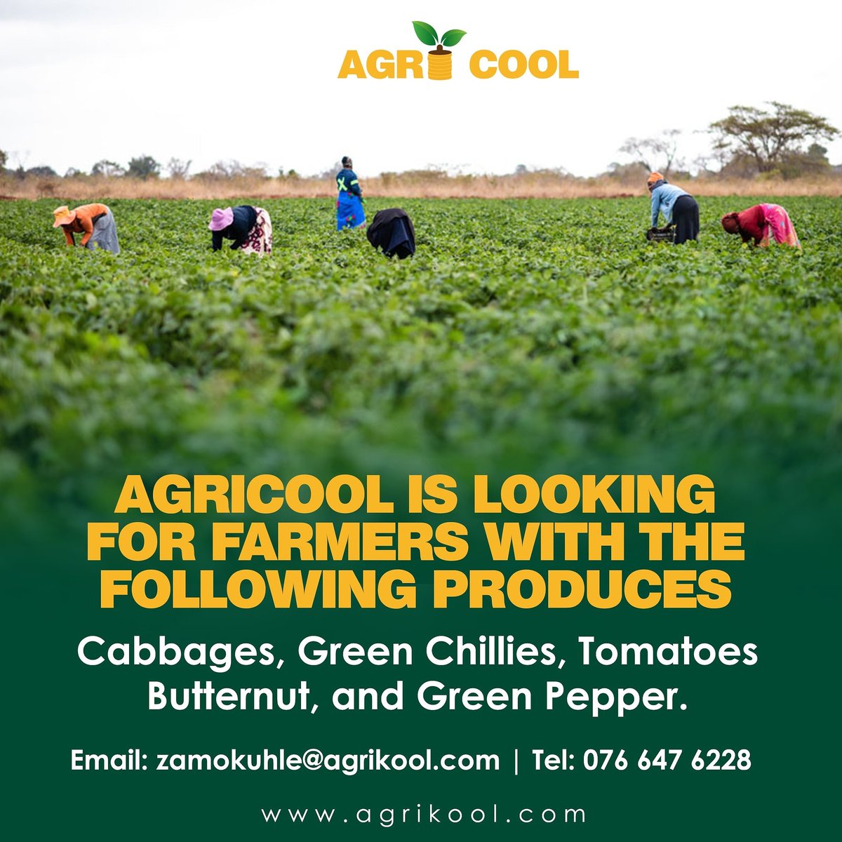 Hello, farmer! Let's link you with the market and agri-finance opportunities. 😉😀

Send us the following details:

(a) Farm location, please be specific 📍
(b) Produce, quantity and the anticipating date of harvesting 🌱🍅🥬
(c) Attache pictures of your produce🍏🍋
 0766476228