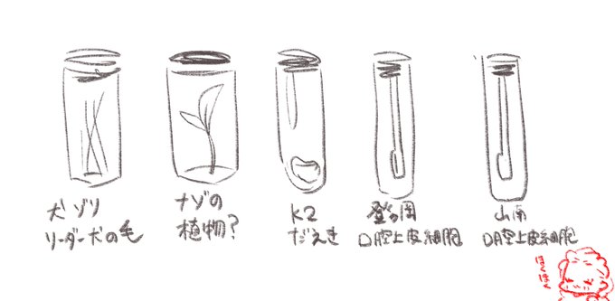 メモ:昨日採集したもの 