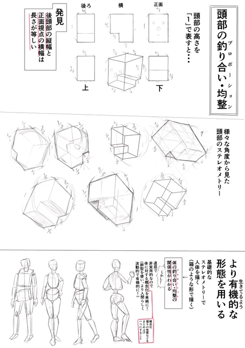 頭部のステレオメトリーと
人を有機的に描くこと 