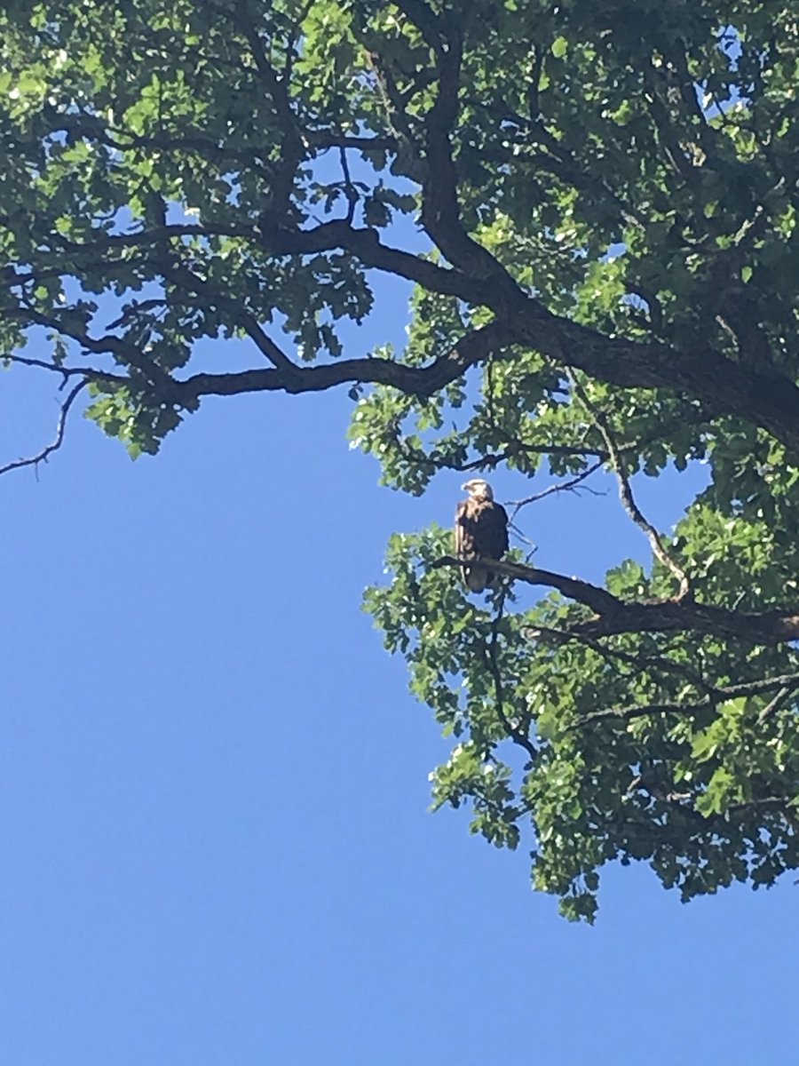 Anne Pudenz tweet media