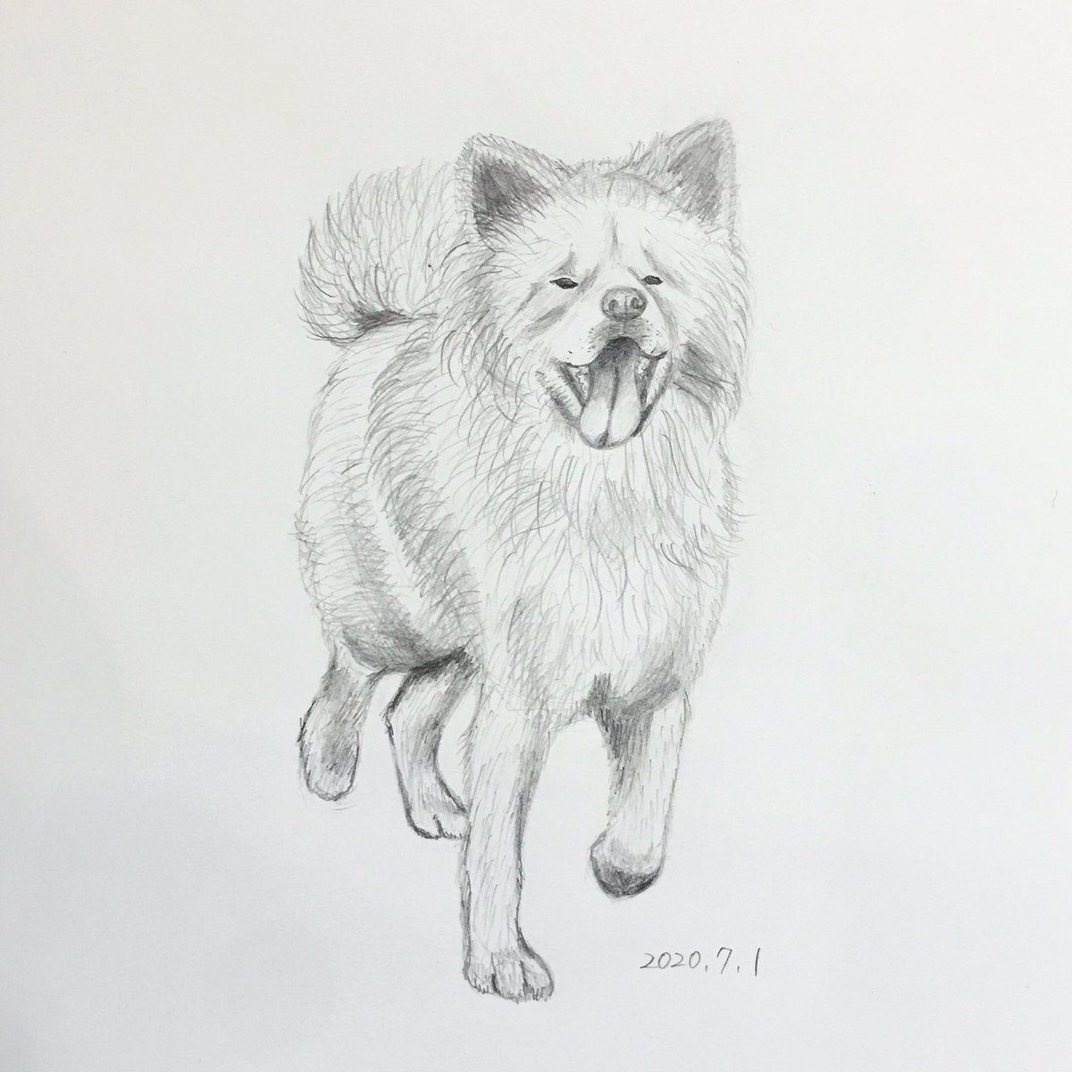Chippoke ようこ Pa Twitter 犬絵 わさお Wasao Official 天国に旅立ってから1ヶ月 虹の橋でお母さんと再会して 幸せにしているかな わさおインスタ1 26投稿を参考に描きました 鉛筆画 鉛筆デッサン デッサン 秋田犬 犬 Chippoke ようこ Pa Twitter 犬絵 わさお Wasao Official 天国に旅立ってから1ヶ月 虹の橋でお母さんと再会して 幸せにしているかな わさおインスタ1 26投稿を参考に描きました 鉛筆画 鉛筆デッサン デッサン 秋田犬 犬