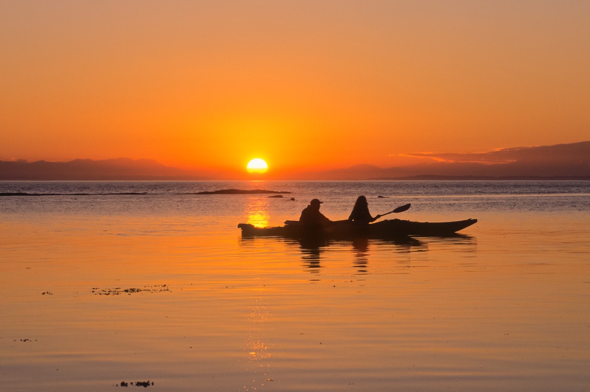 pcparkslife's tweet image. Hey #ParksLife! Am I the only one to find his happiness in the small pleasures of life? ☺️ It is often the little things that make us the happiest. Laughter 😆, a ladybug 🐞, a sunset 🌅 or a swim 🏊‍♂️.
On this #SimplicityDay, tell us what makes you #SimplyHappy! 💞
-P.O.