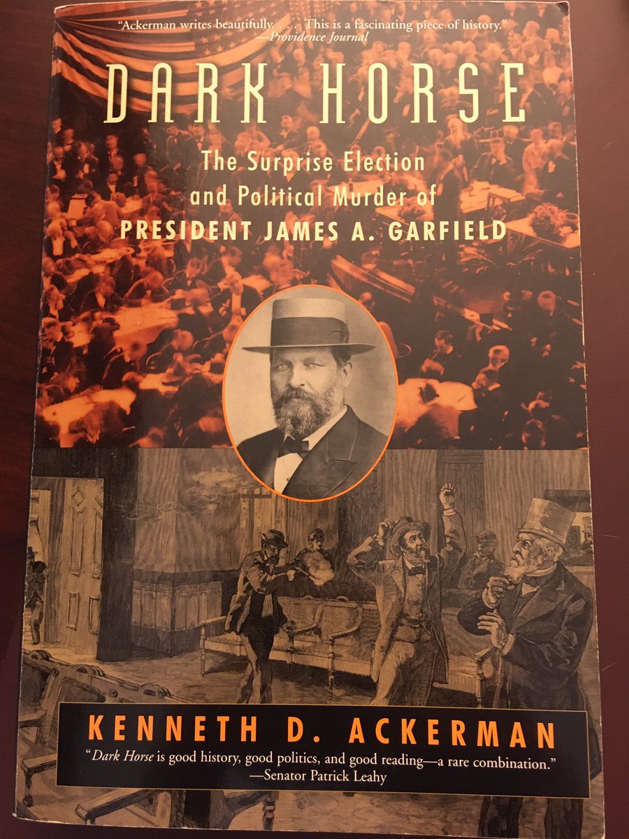 Suggestion for July 12 ....Dark Horse: The Surprise Election and Political Murder of President James A. Garfield (2003) by Kenneth D. Ackerman.