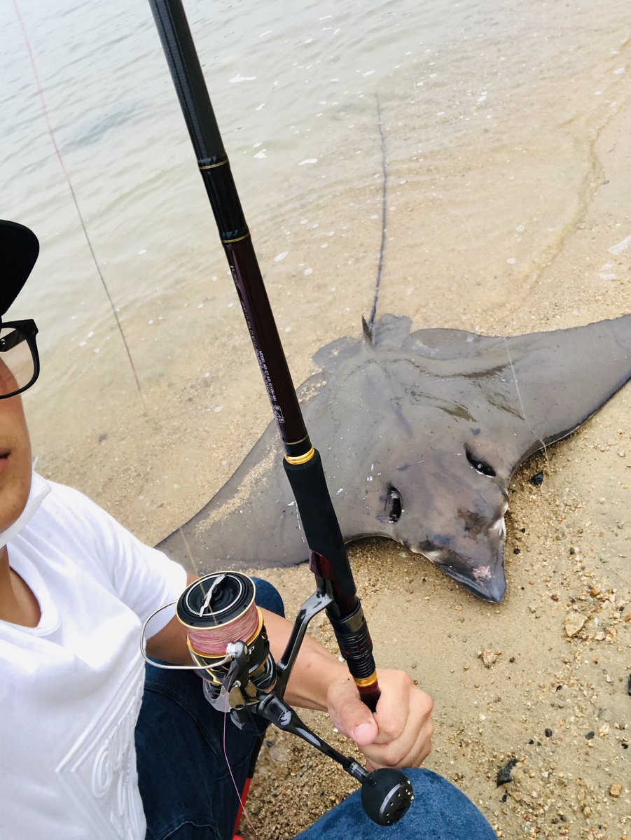 kousuke_50's tweet photo. 2mオーバー怪物エイとの格闘
ヒットして浜辺まで寄せるのに10分
針外すの15分😅
めちゃくちゃ重かった https://t.co/o7gfU1dNCT