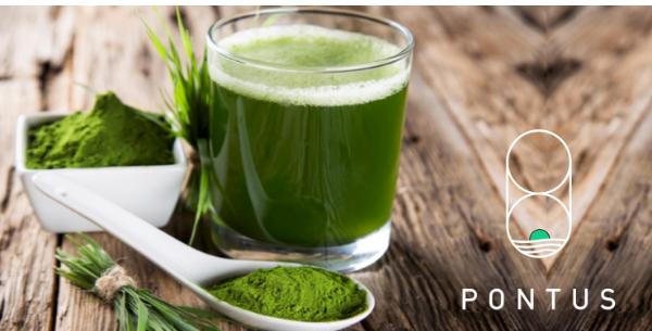 With a huge shift towards organic food and plant-based protein, <a href="/PontusWater/">Pontus Water Lentils</a> is the ultimate protein alternative! 

✅Grown in a bio-secure aquaponics farming environment 
✅Delivers a near-zero carbon footprint

Learn more: bit.ly/38RjSOT