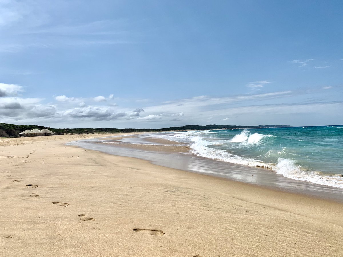 Anvil_Bay's tweet photo. #leaveonlyfootprints 👣 Cheers to the weekend 💙 May the week ahead bring only good news and healing across the world 🌍 
#mozambiquemissesyou🇲🇿 #traveldreams #holidayplanning #seeyousoon #safespaces #safariandsea #oceanview #naturelover #beachwalks👣 https://t.co/8wbeSzuvdr
