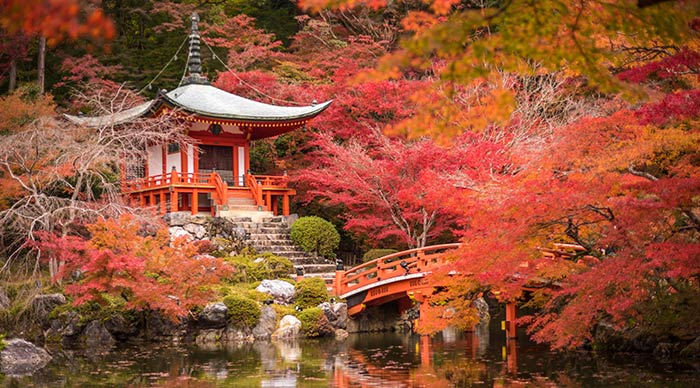 美しい日本 🇯🇵 tweet media