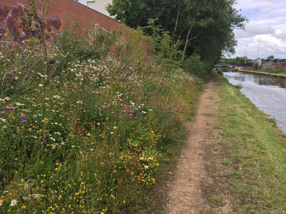 Even in some of the most industrial areas, canals provide places for nature and for people ⁦<a href="/CRTWestMidlands/">Canal & River Trust West Midlands</a>⁩