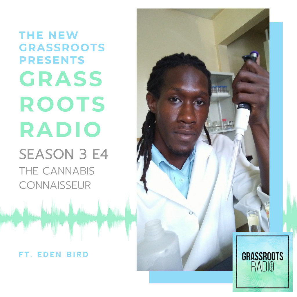 With mixed social reactions to cannabis use and the recent decriminalization, scientist and cannabis connoisseur Eden Bird hopes to enlighten the general public on the many uses and benefits of the medicinal herb.
🎧 buff.ly/38HlLxv 🎧