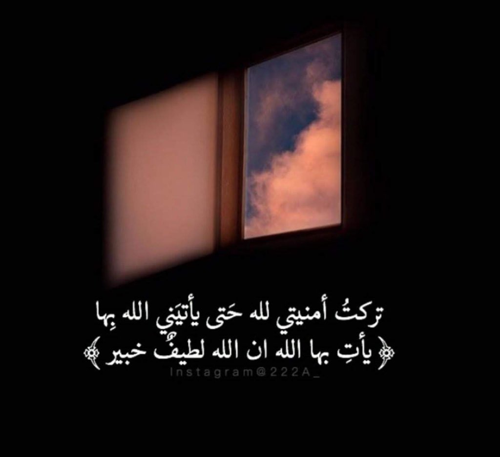 N_almaly (@7rlfgub7iypmdvq) on Twitter photo 