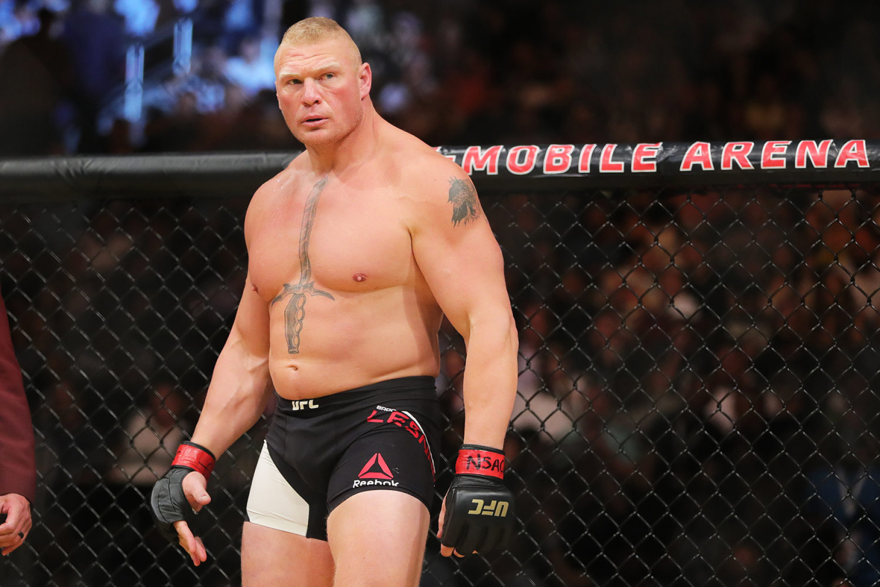Happy Birthday To WWE Star Brock Lesnar 