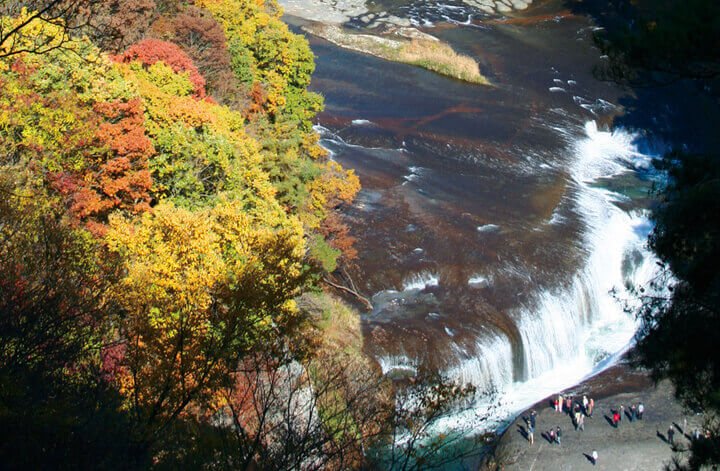 美しい日本 🇯🇵 tweet media