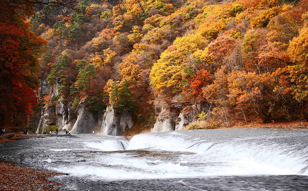 美しい日本 🇯🇵 tweet media