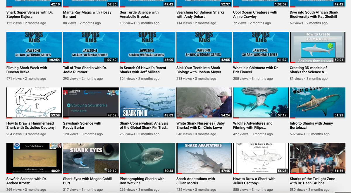 Sharks4Kids's tweet photo. Educators & Parents: Did you know we hosted over 50 #shark related webinars? ( coral reefs, sea turtles & dolphins too)
All are FREE to watch and learn! Dive in with us!
https://t.co/aRAYCz7bvv
#SharkScience #onlinelearning #schoolsoutscience https://t.co/ISsfjvj5JI