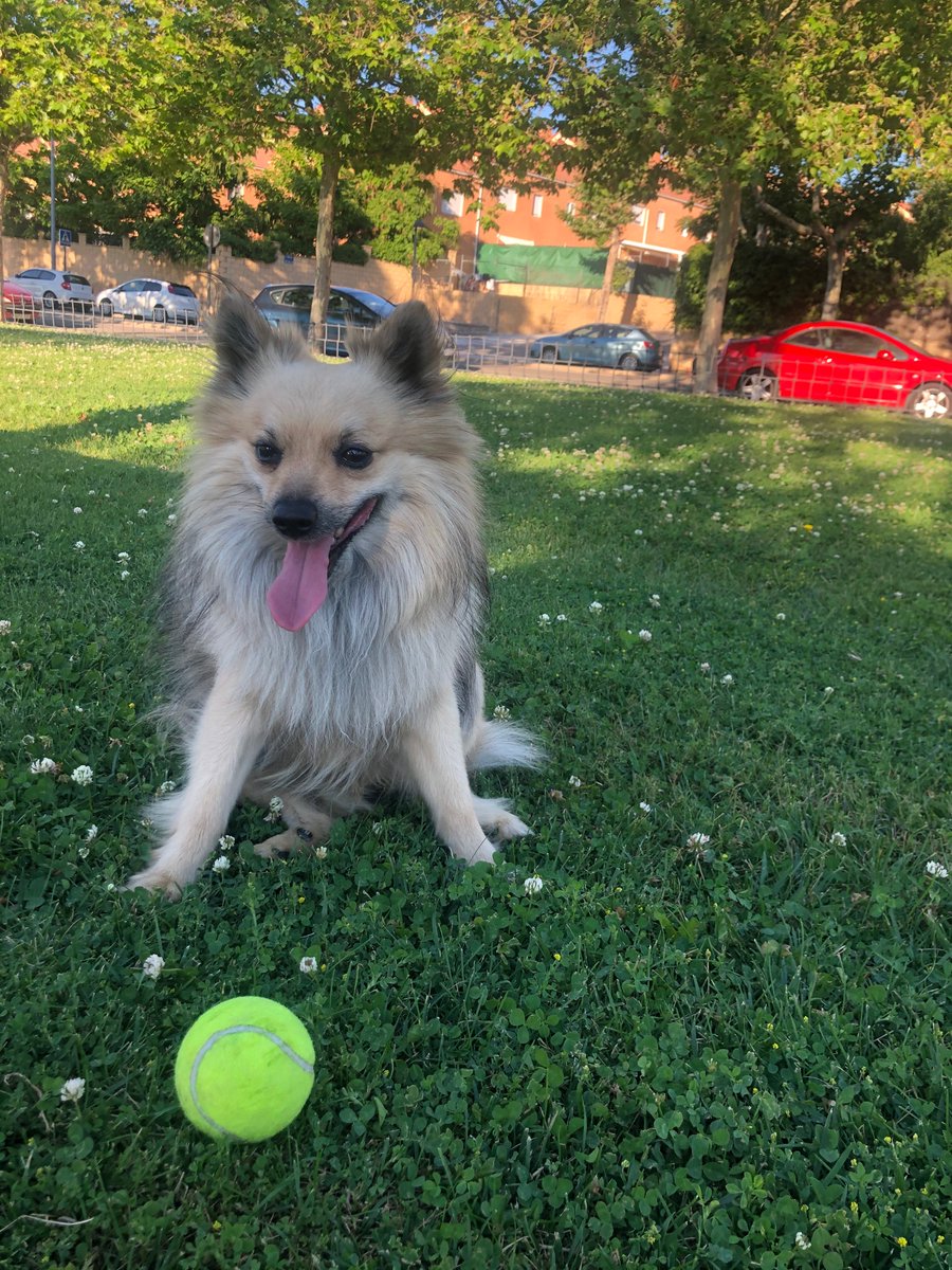 Principito mío ❤️