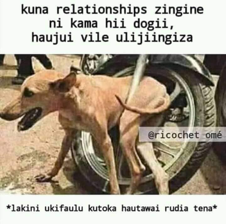 BJOHNIEK's tweet photo. @followhelp__KE https://t.co/rylO7z6Vyo