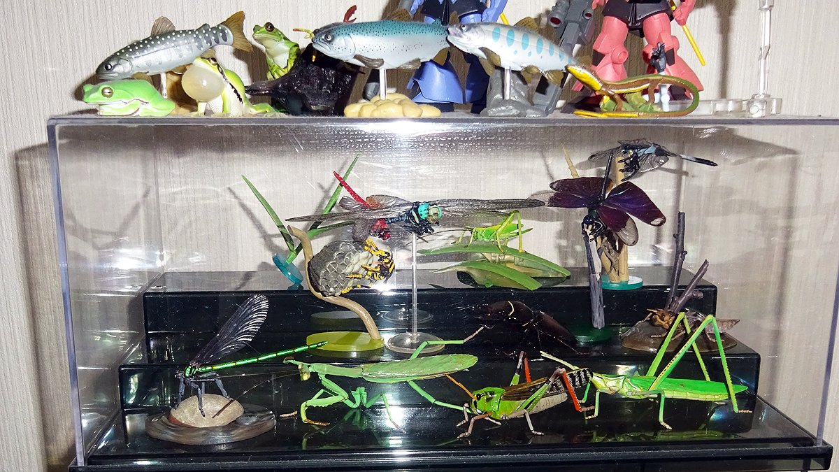 原色淡水魚図鑑 原色淡水魚図鑑