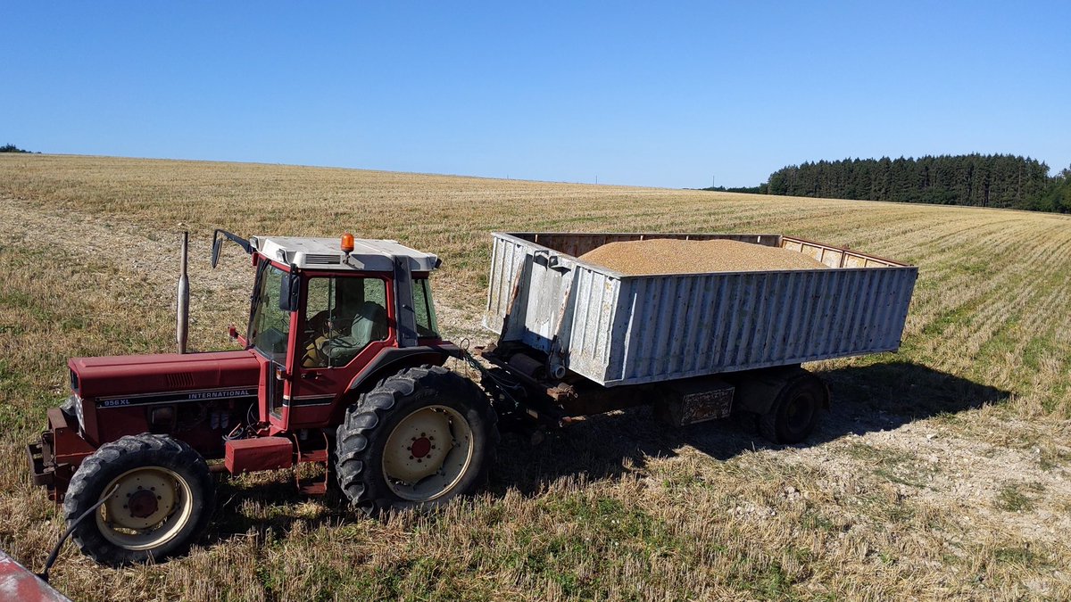 d_forge's tweet photo. Sur les 250 tonnes de blé récoltées pendant cette moisson 2020, j’en conserve 8t dans ce caisson

Cette quantité me servira à semer toutes mes surfaces de cette culture dans 3 mois, et sera récoltée en 2021

C’est ce qu’on appelle la semence de ferme

📽=> https://t.co/ZNdVPOUzPI https://t.co/vBb7lZ9JzY
