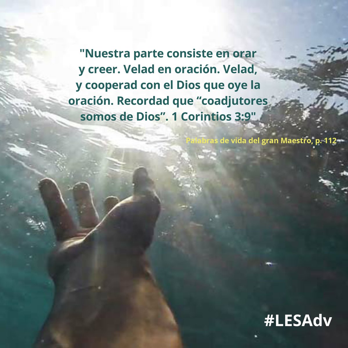 Pr_JavierTorres's tweet photo. Muchas personas nunca vendrán a Jesús a menos que alguien que tenga fe los traiga. Nuestro papel es convertirnos en presentadores y acercar personas a Jesús.
#LESAdv https://t.co/Ry6VirQ8wO