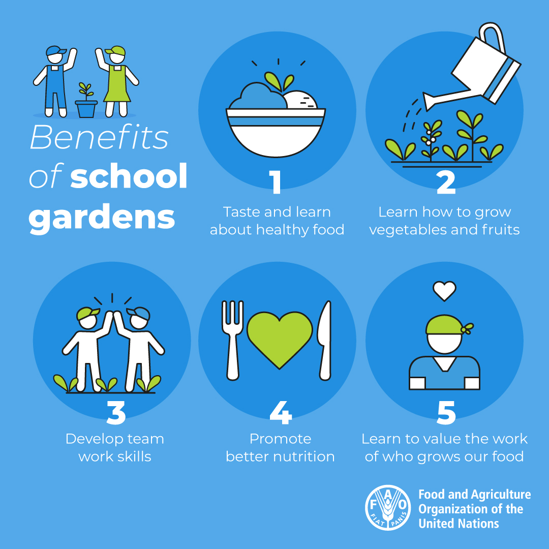 FAO's tweet photo. School gardens are a great way to teach children about healthy eating! 🌱🍏🍅🥕 

5 benefits 👇 #schoolmeals https://t.co/lEEm9cPJtI