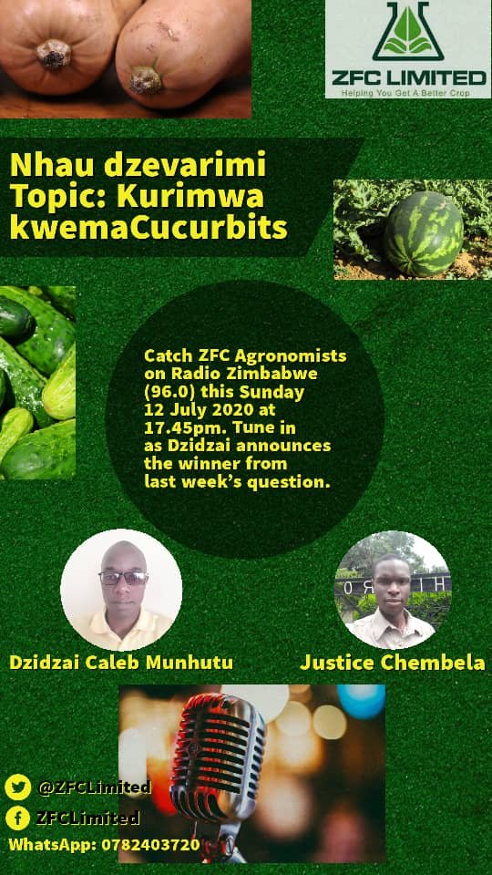 Join me this evening as I unlock the potential in farming cucumber, watermelon and butternut.
# AgronomistJusticeChembela
# Farming as a business 
# Young farmers can