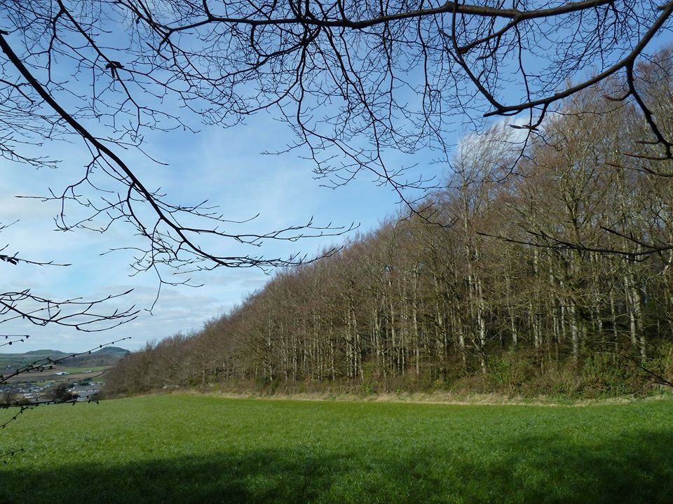 On a recent #thesignpostseries webinar, @teagascforestry Specialist Tom Houlihan explains the positive role that well-planned and sustainably managed farm forests can play in addressing climate change challenges. Find out more here bit.ly/38IDNQ9 #TeagascDaily