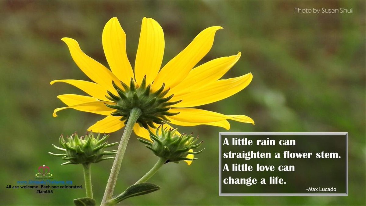 UTSORG's tweet photo. A little love can change a life.
https://t.co/97aot2QA1a
All are welcome. Each one celebrated.
#IamUtS 🌿 #disability #diversity #equality #quote #community #DemystifyDisability #LivingLifeTogether
*photo by Susan Shull https://t.co/re89n9PUts