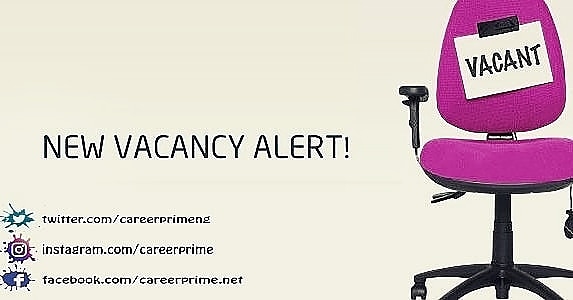 Careerprimeng's tweet photo. We are looking for creative minds to join our team!

Are you innovative ? Curious? And you can fill the role of:

- A creative Designer 
- A Content strategist 

Send your CV to people@redtowndigital.com

#verifiedjobs #jobs #HIRINGNOW https://t.co/vH2ntt3u06