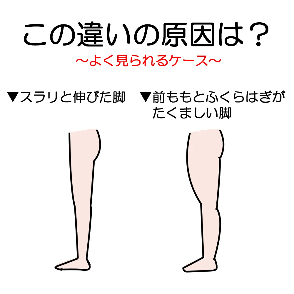 脂肪が原因じゃない！？脚が太くなってしまうのは骨や筋肉が要因かも！