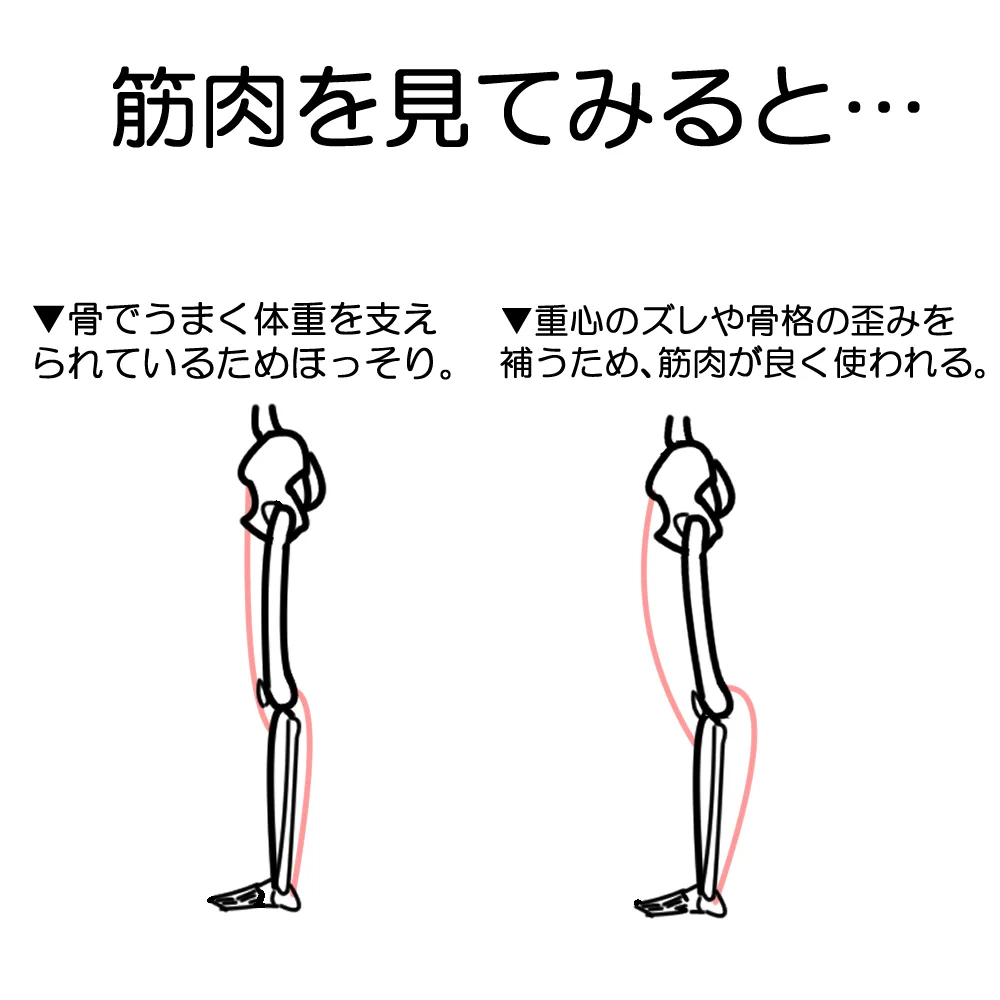 脂肪が原因じゃない！？脚が太くなってしまうのは骨や筋肉が要因かも！