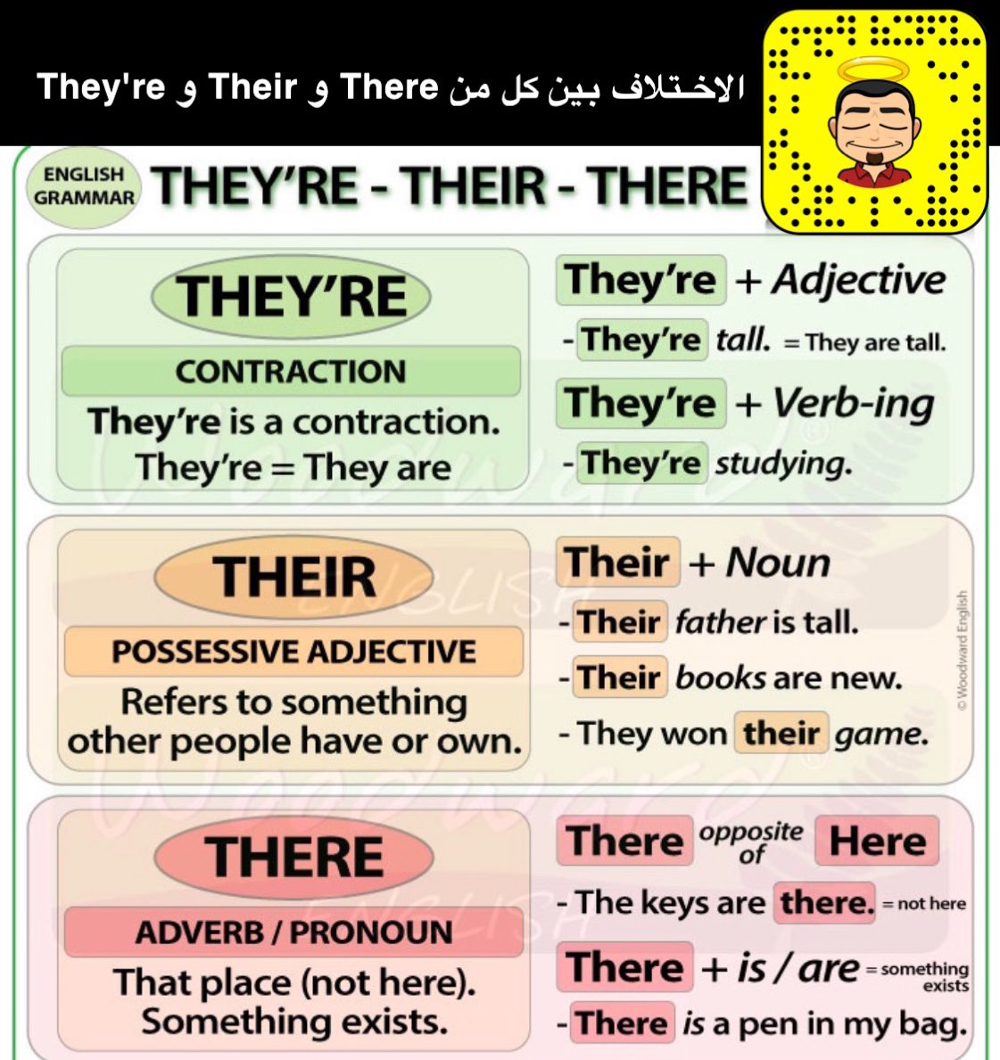 Правило they their