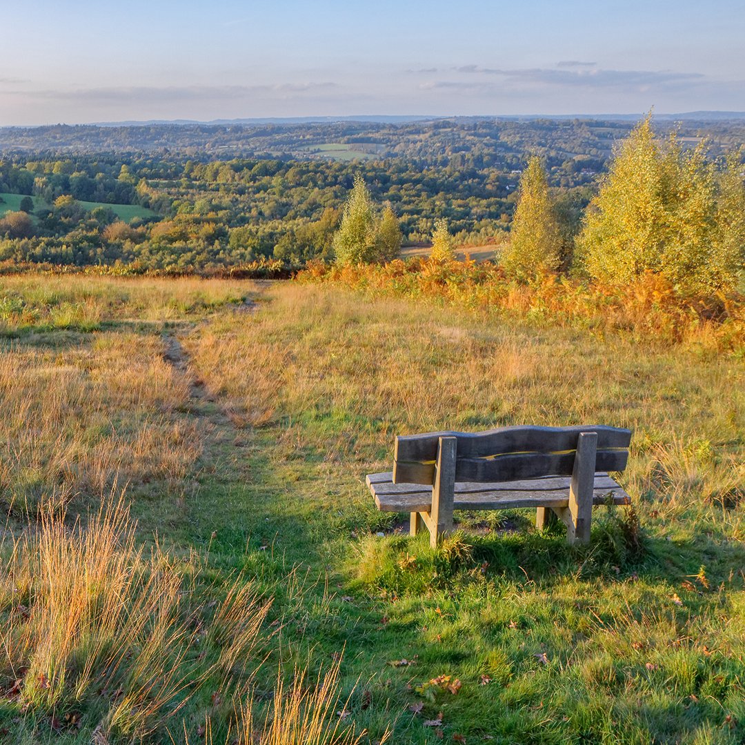 Thinking of taking a mini-break and escaping the city for a few days? With excellent transport links and magnificent rural setting, The #AshdownForest could be the place for you! 🌳

Read our guide on how to spend 48hrs in The Ashdown Forest.

amberleyhousecottages.co.uk/Sussex/Amberle…