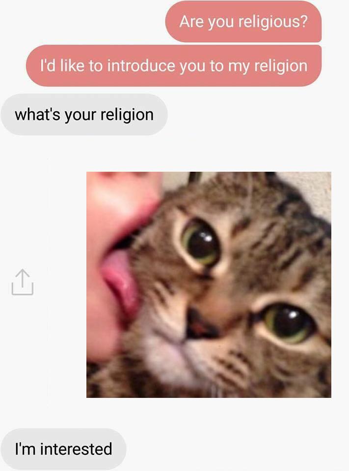 ShitpostBot 5000 tweet media