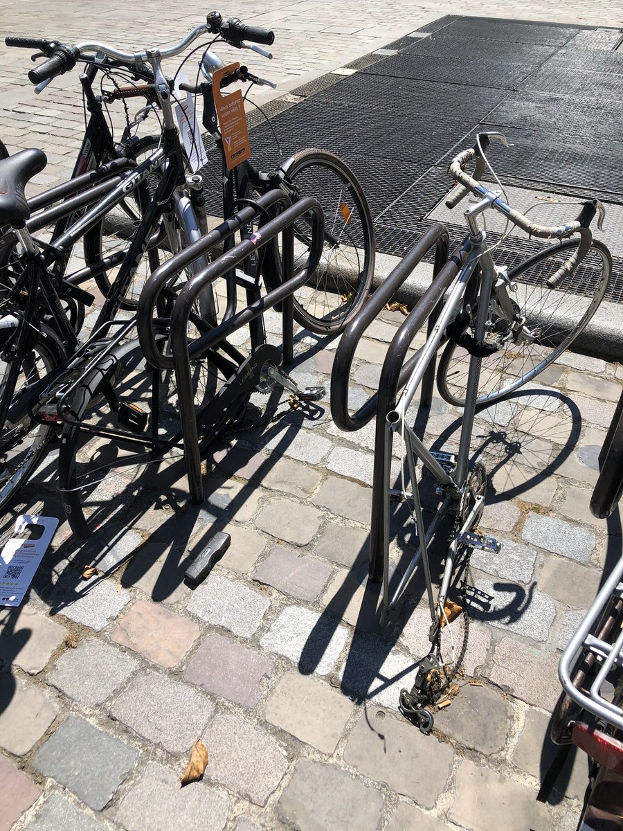 Nicolas T tweet media